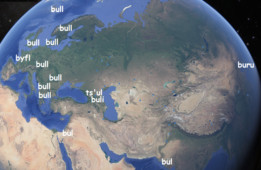 Слово "бык" по всему миру