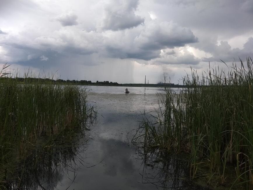   Дожди каждый день прогнозируют на неделе. Фото Анны Зубаревой