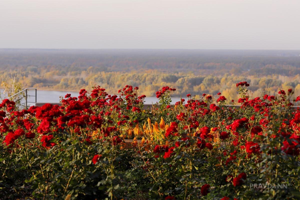    С 14 по 18 июля в Нижнем Новгороде дожди не прогнозируются