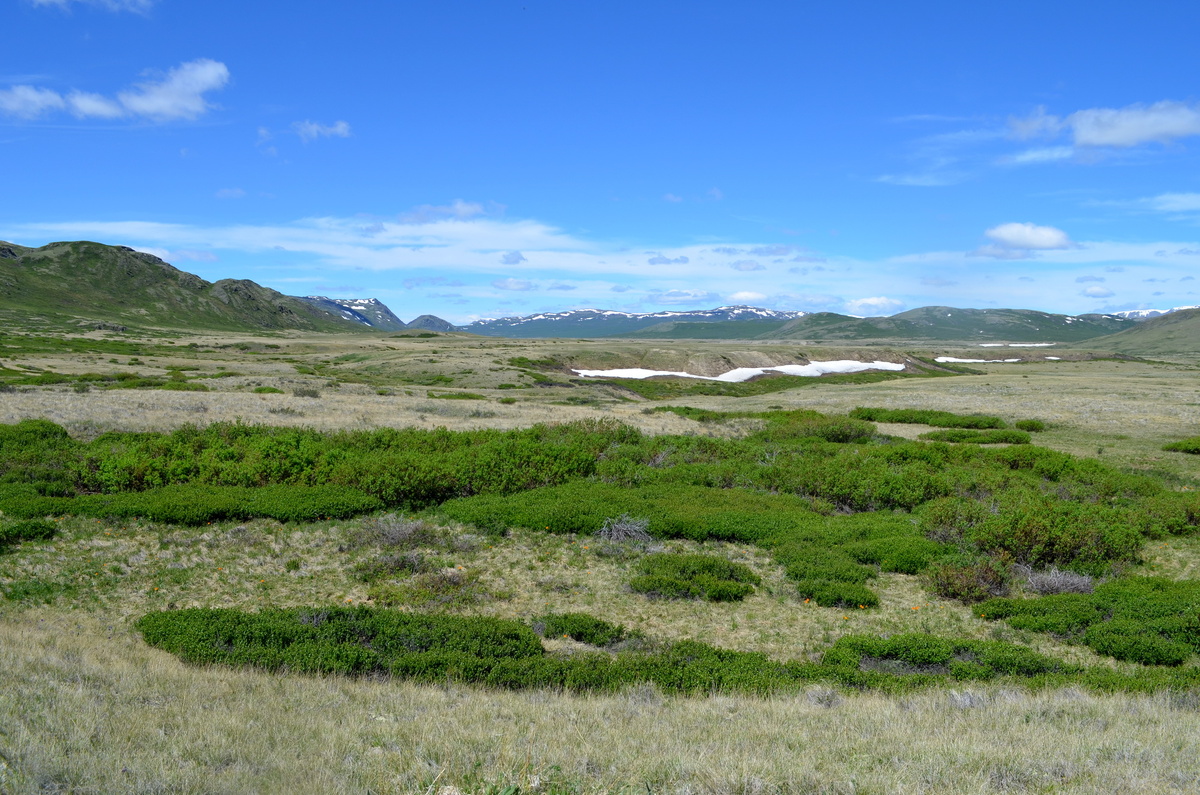 Вид на долину Богояш. Фото Олега Митрофанова.