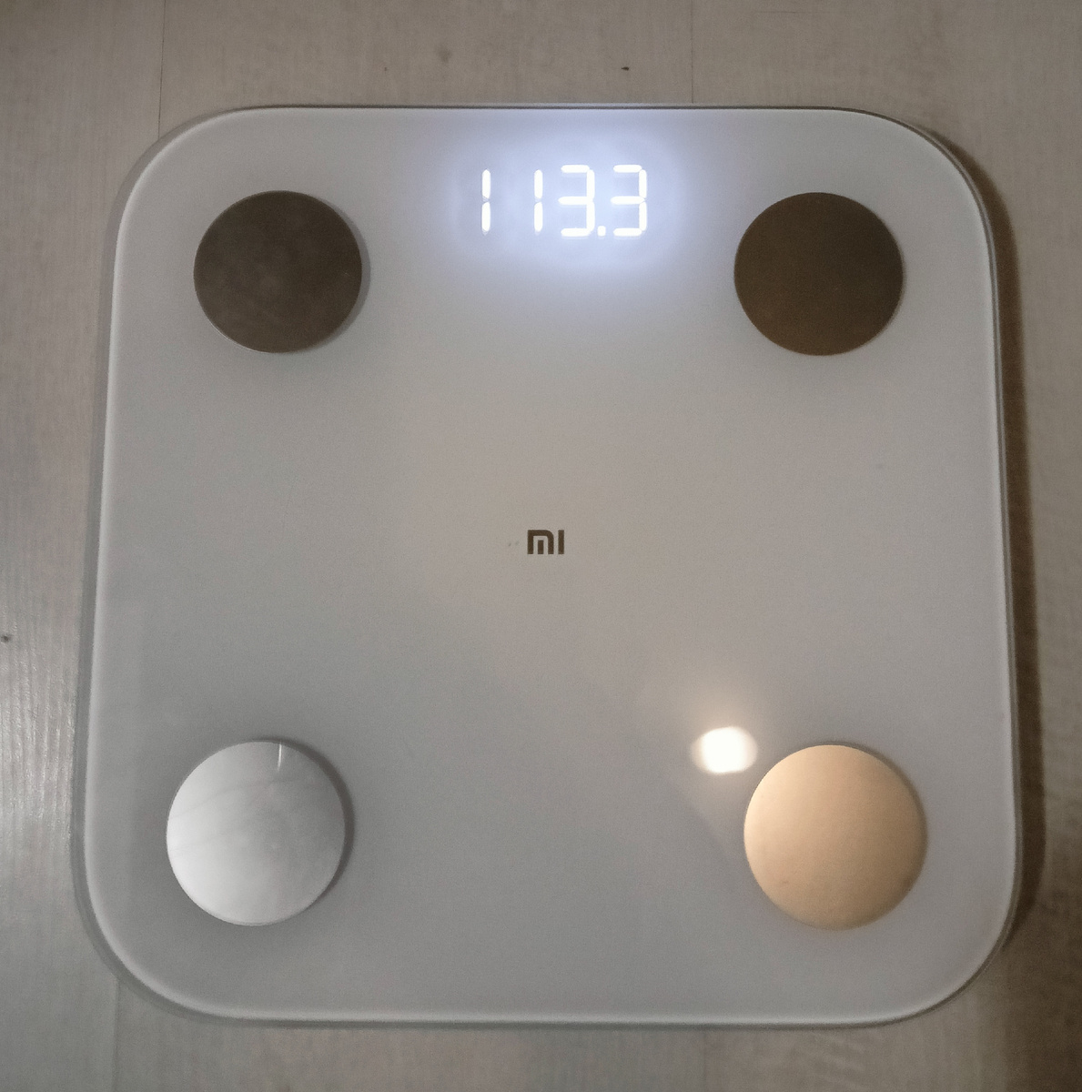 Вес от 14.07.25 113,3 кг