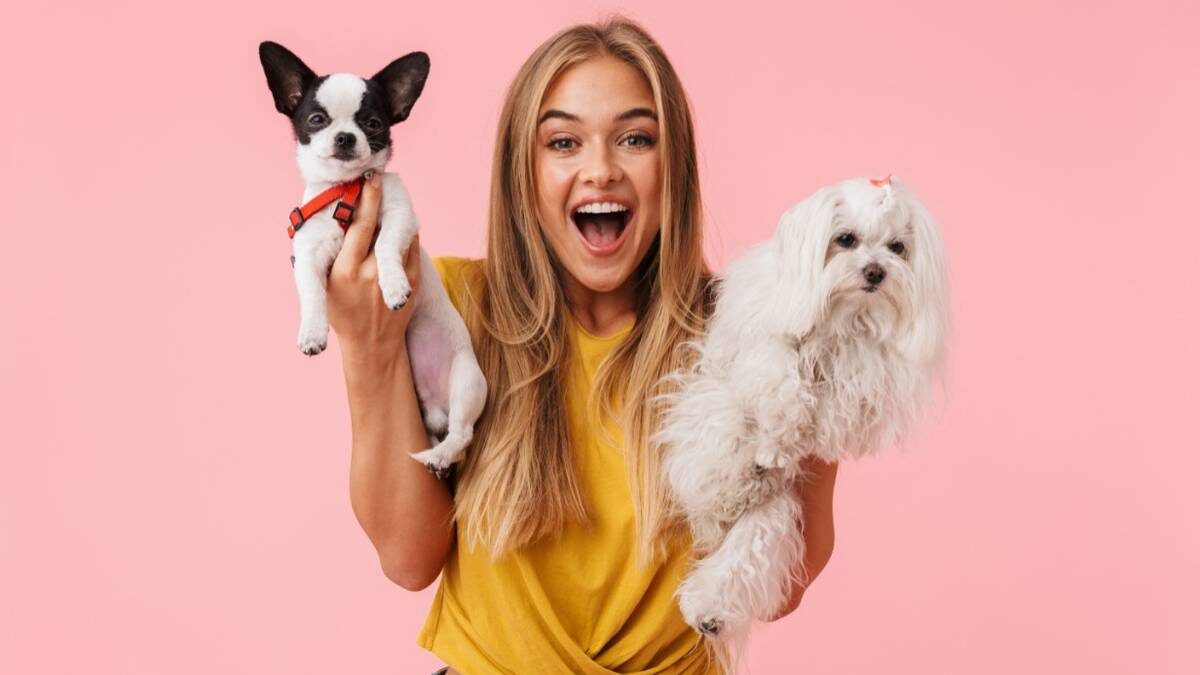    Фото: Shutterstock