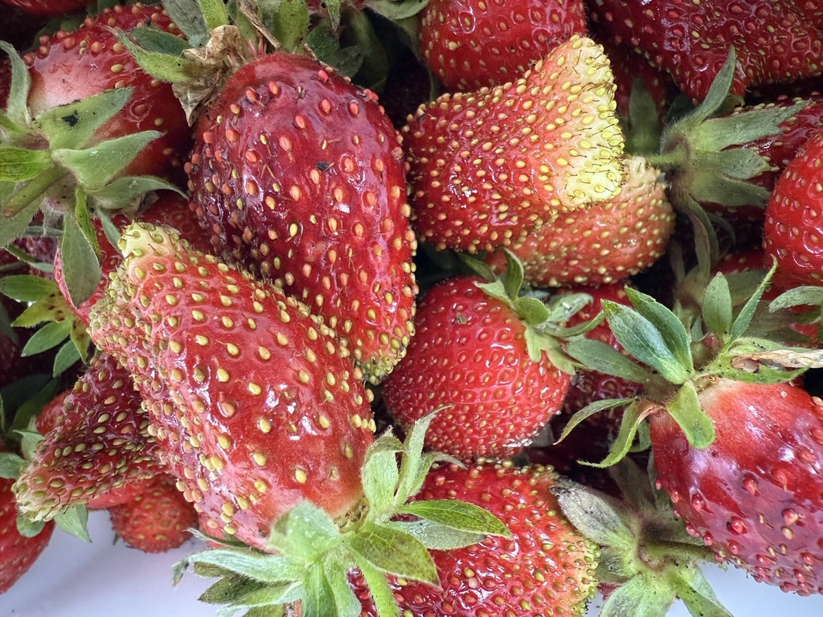 Фото автора канала Дом с кипарисами