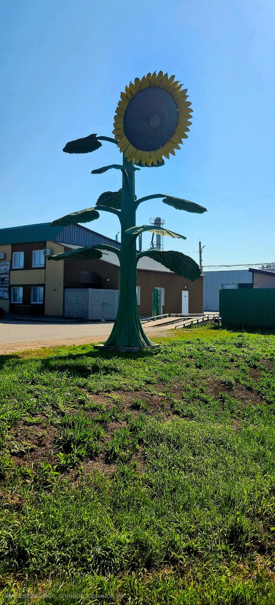 Собственное фото автора.