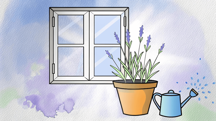 Иллюстрация: Александр Митин