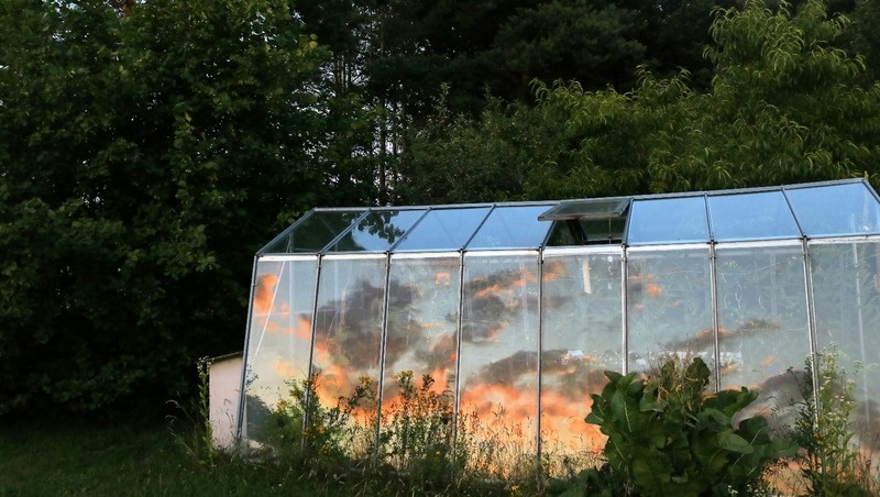     Фото: @matejspulak / unsplash.com