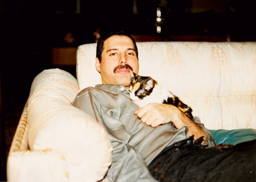 Фредди Меркьюри