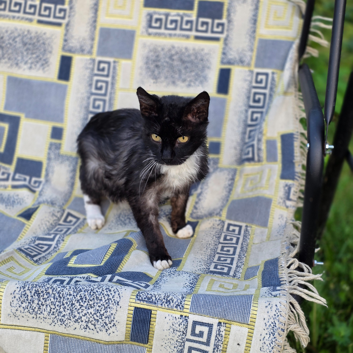 Федя на качелях любит сидеть 🤗