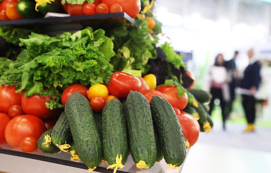    Сергей Булкин/NEWS.ru