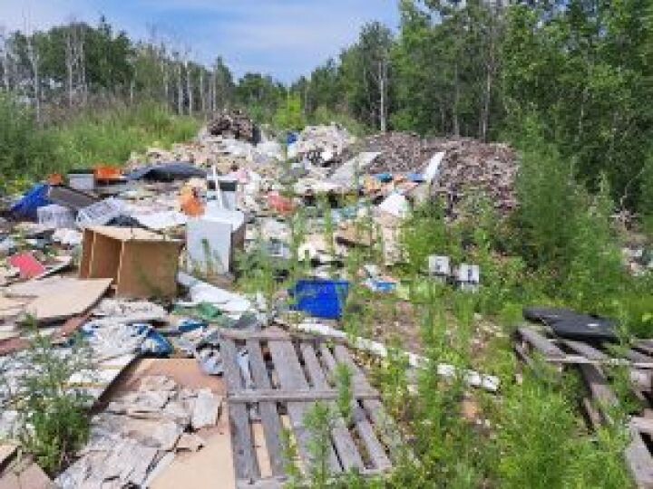    Фото:телеграм-канал Приморского межрегионального управления Россельхознадзора