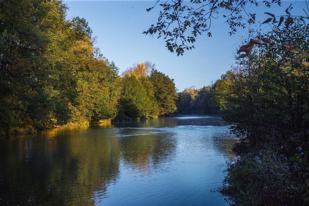 Бузулукский бор. Фото: Татьяна Курамшина | ВКонтакте