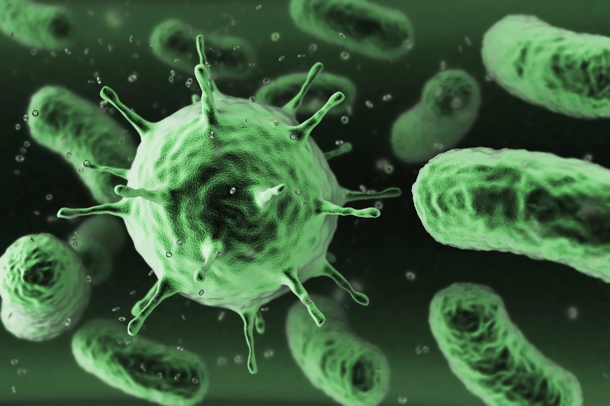 https://wp-assets.futurism.com/2015/11/bacteria.jpg