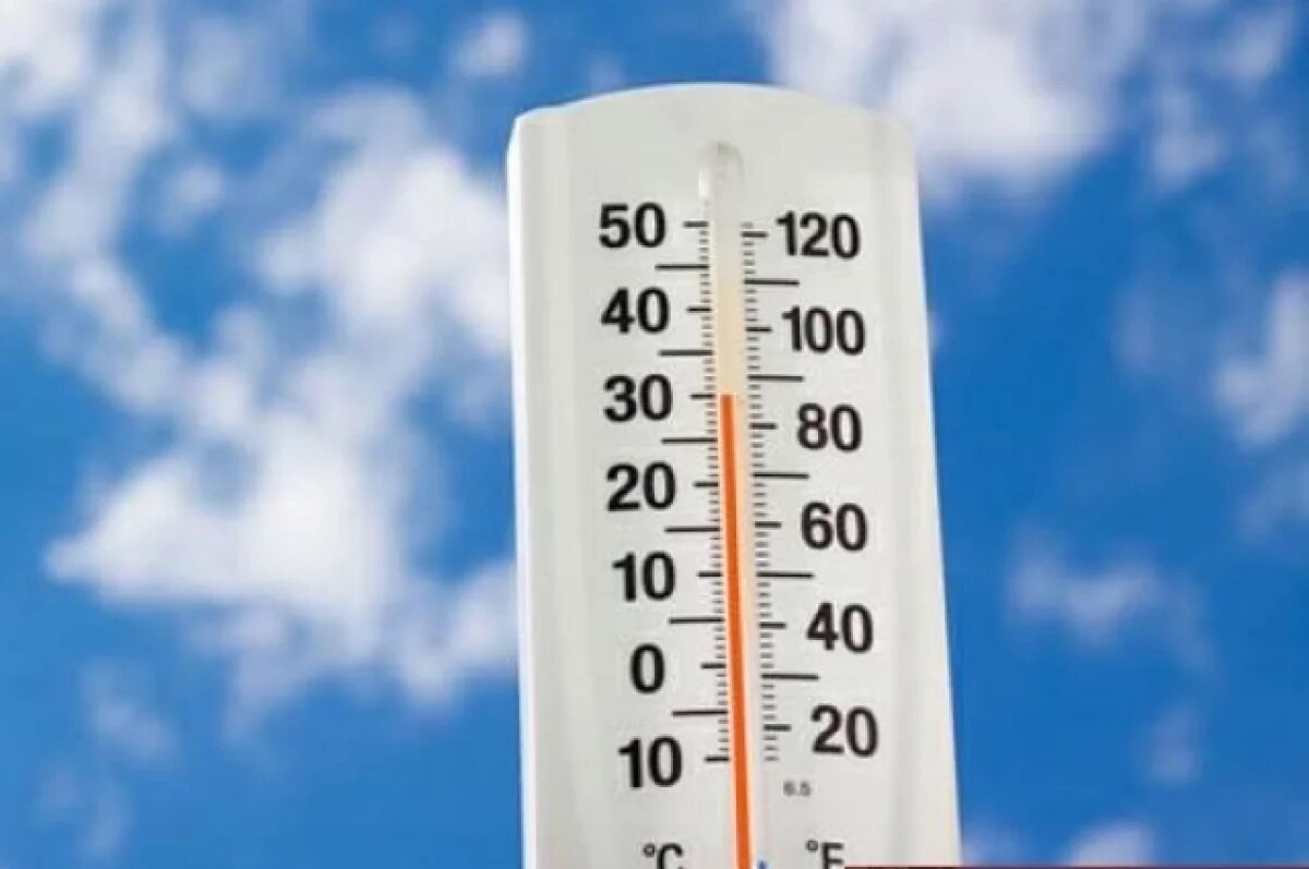    Синоптик Леус: минувшая ночь в Москве стала самой теплой с начала года