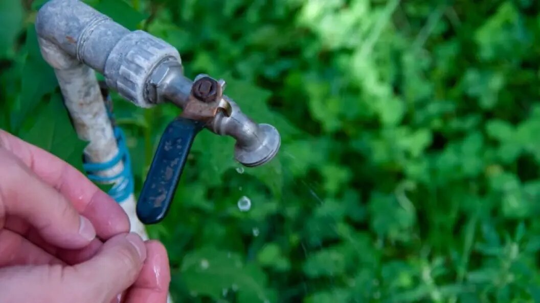    Фото: Svetlana Vozmilova/Globallookpress