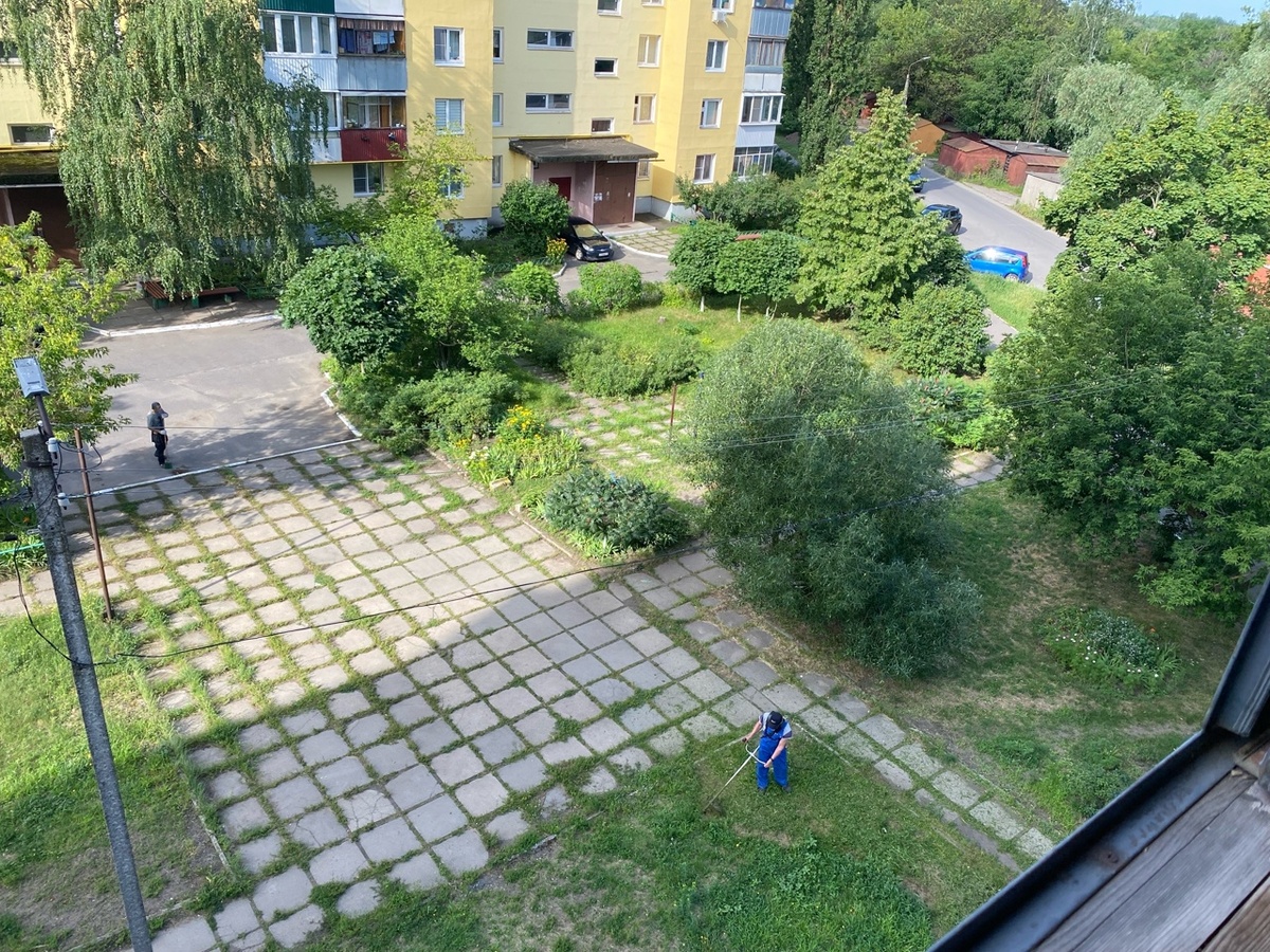 Косим трын-траву. Фото автора. 