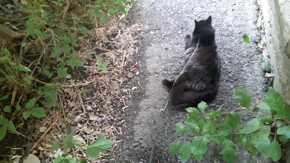 Возле дома.