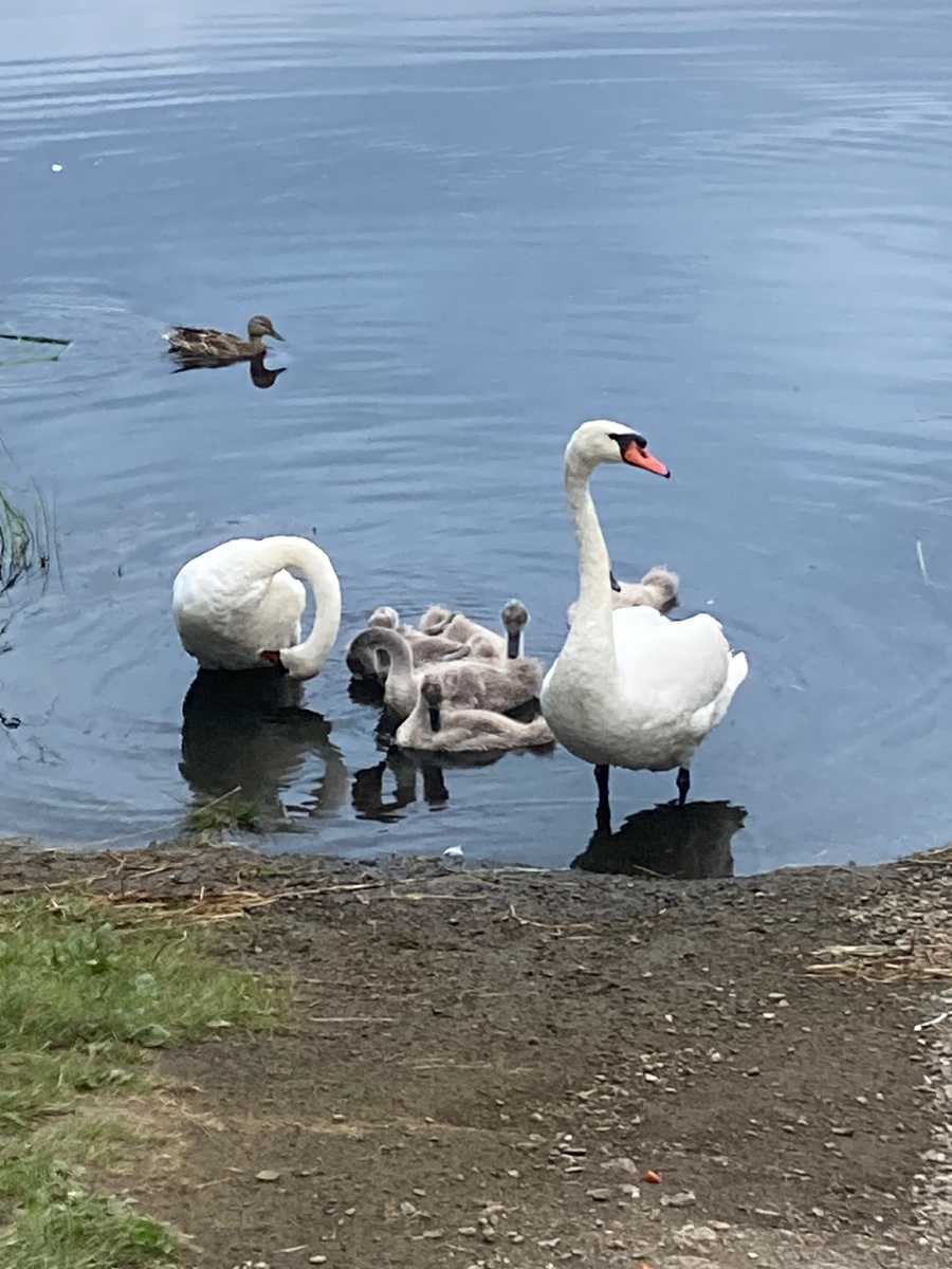 Личные фото