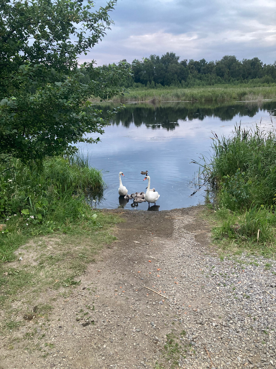 Личные фото