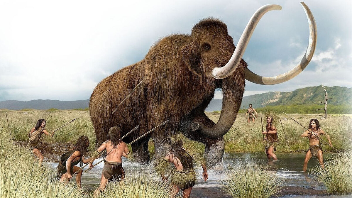 Фото взято из интернета.