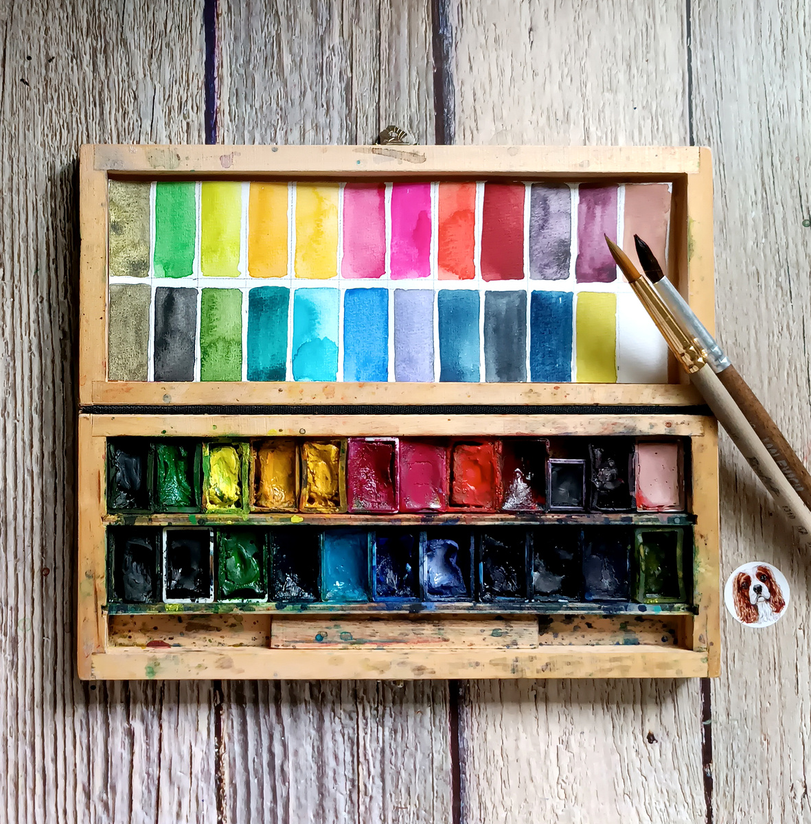 фото автора канала.