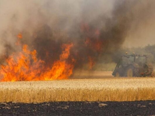    Пожар на пшеничном поле //Фото пресс-службы ГУ МЧС России по Ростовской области