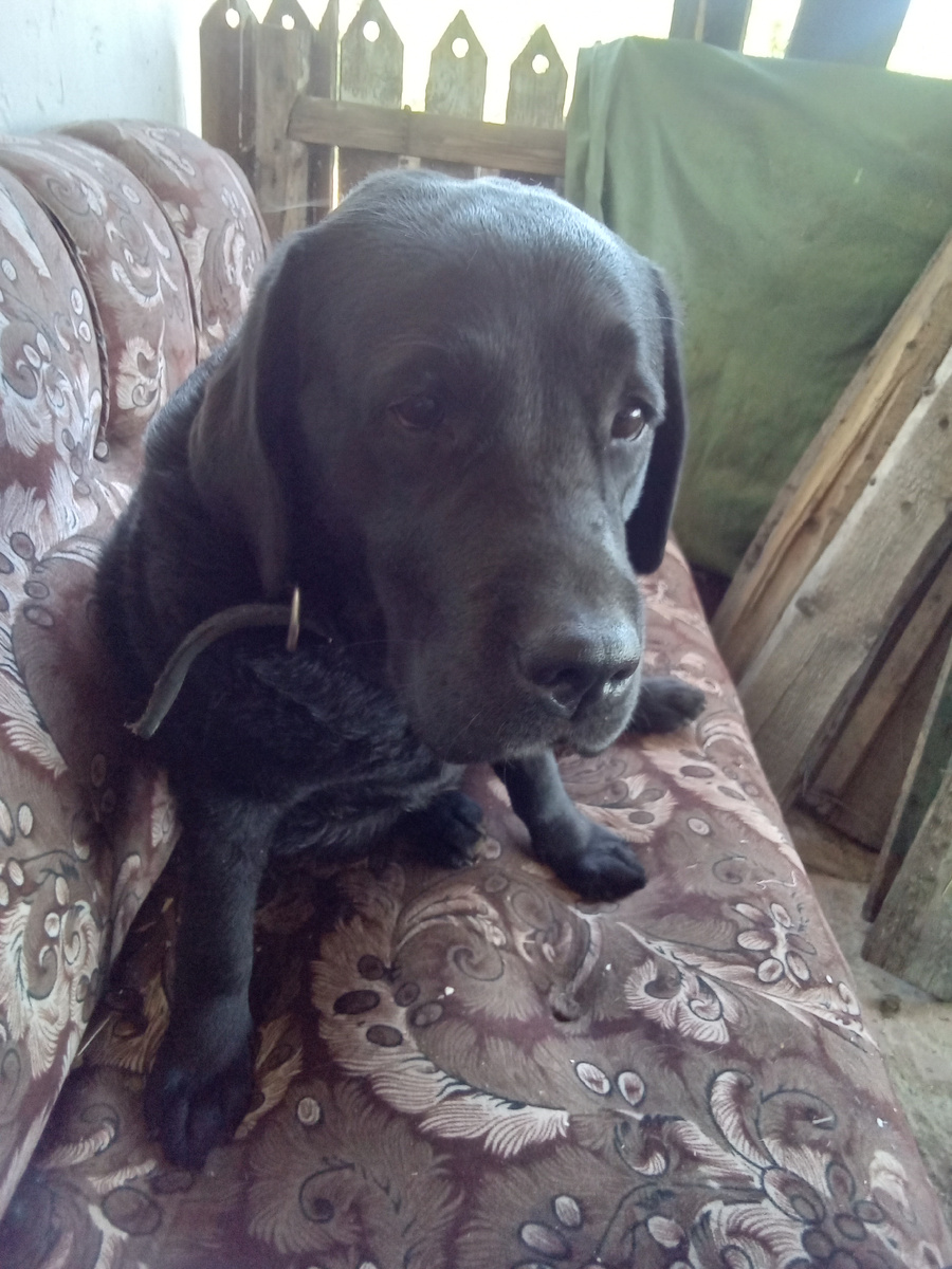 Фото автора. 