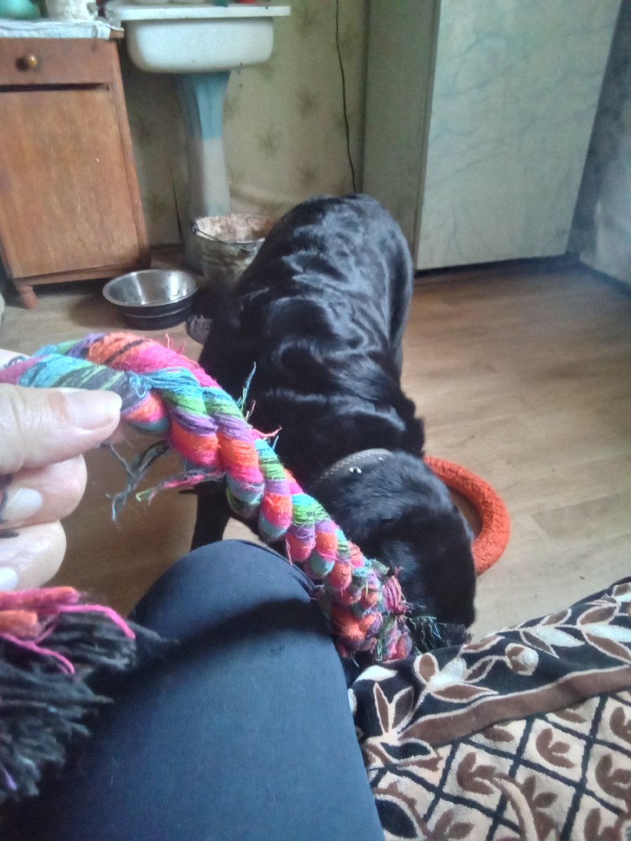 Фото автора. 