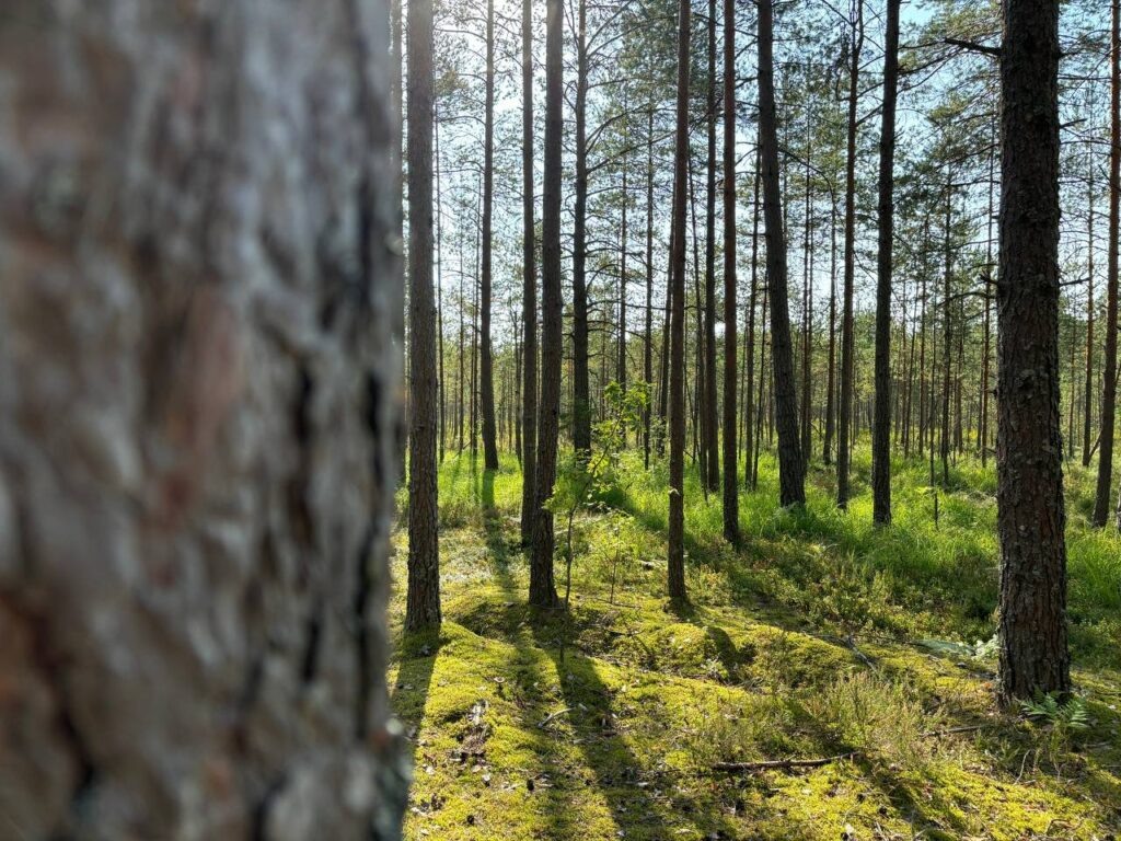    Фото: sn-gazeta.ru Анна Бахошко
