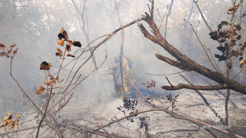    фото: ГУ МЧС по РО Редактор