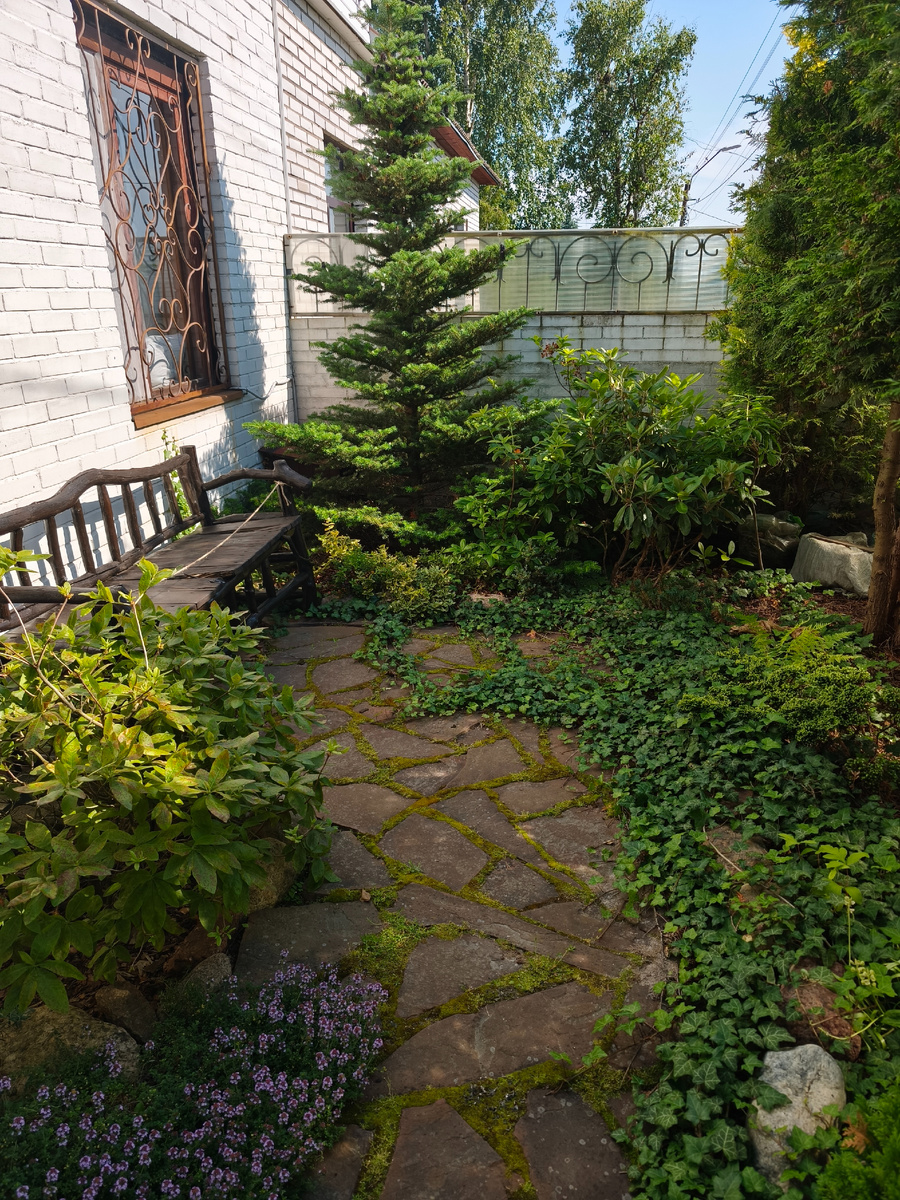 Несколько  шагов направо 