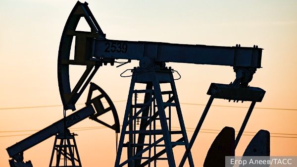     Фото: Егор Алеев/ТАСС   
 Текст: Ольга Иванова