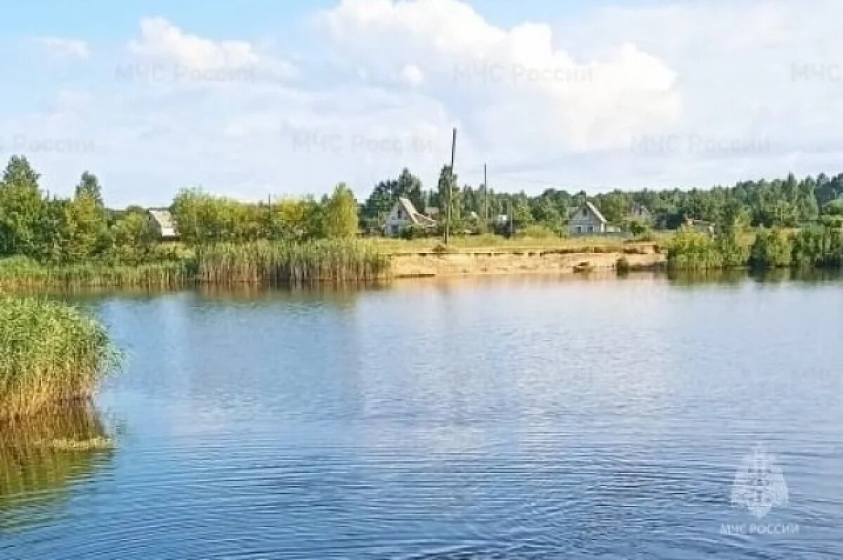    Молодой мужчина утонул в искусственном водоеме в брянском селе Мизиричи