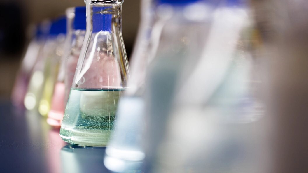    Фото: Sergey Elagin/Business Online/Globallookpress