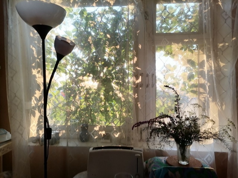 Это тоже не сегодня - по букету видно и солнце в окошко. 