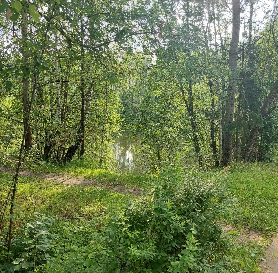 Фото автора. Утро на озере.