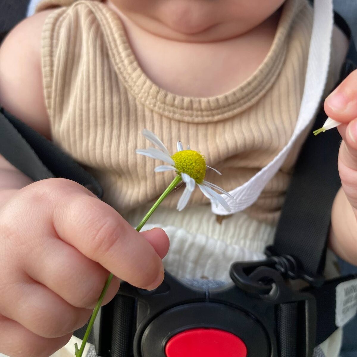 Майка бельевая