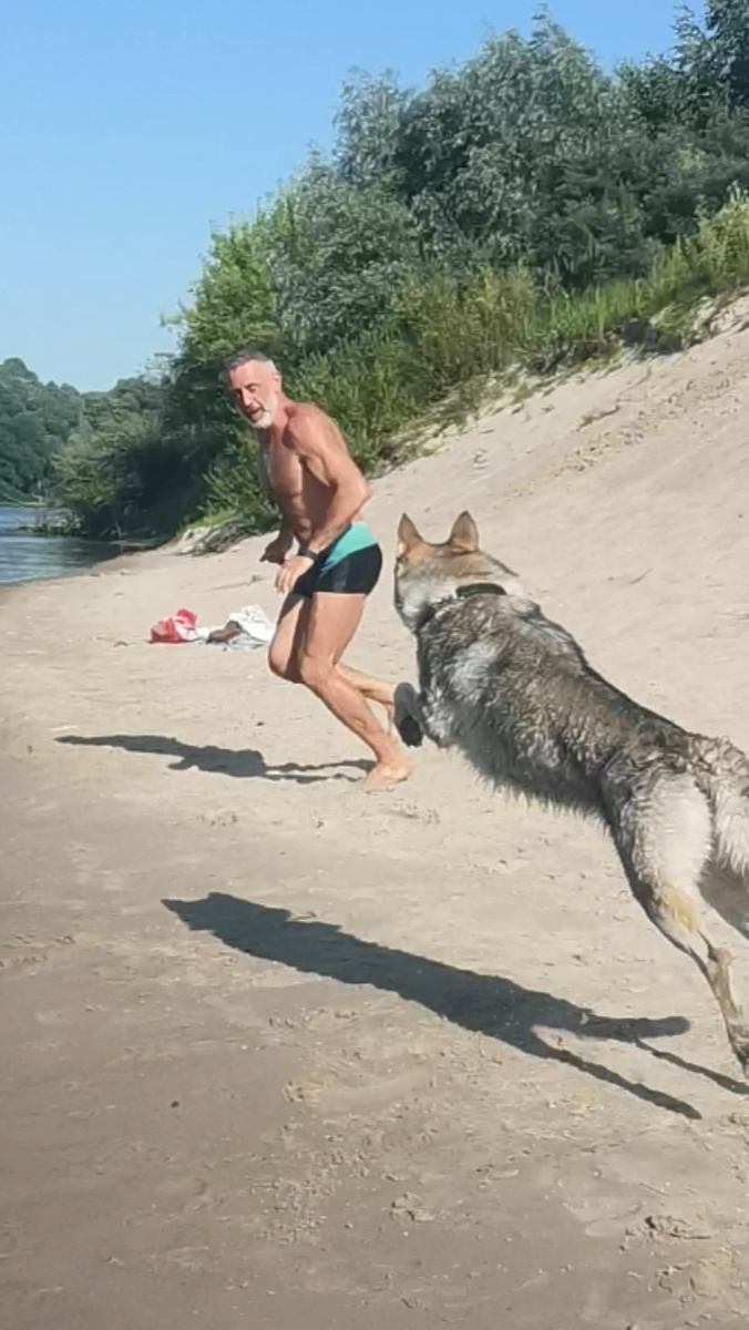 Спокойствие, только спокойствие, ни один папа при съёмке не пострадал 