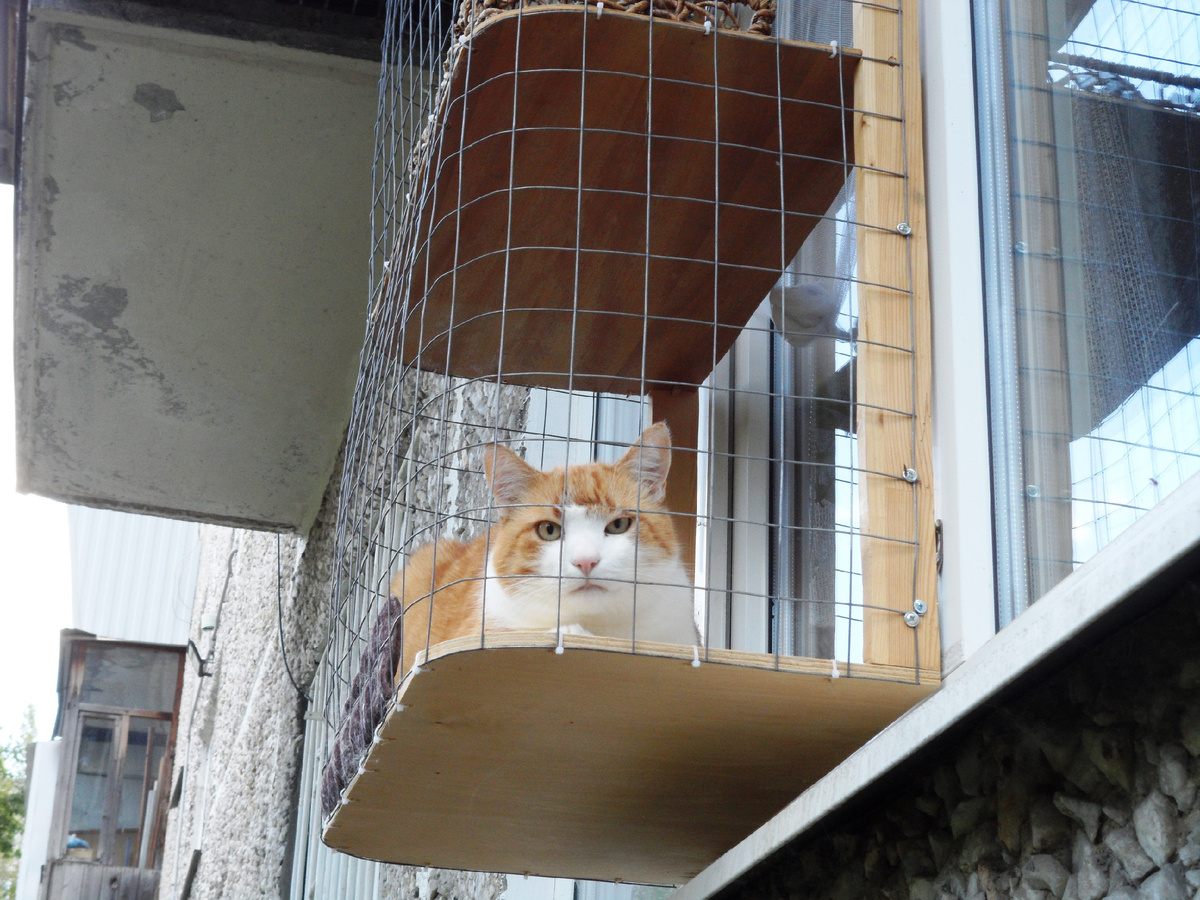 Жирненький... :)