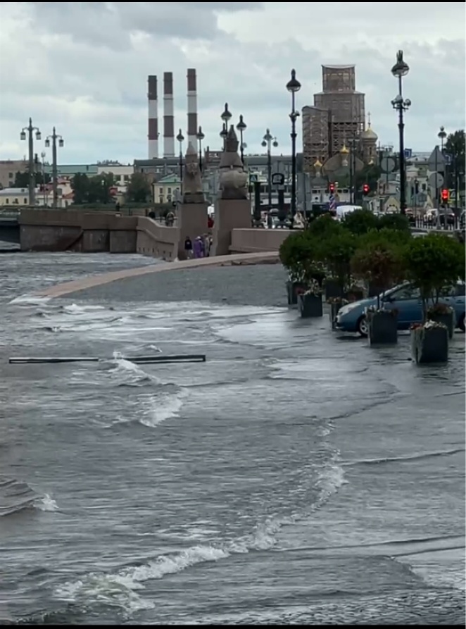 Санкт-Петербург, вы уже просохли!? ("Котики мои сфинксы" чуть не утонули)