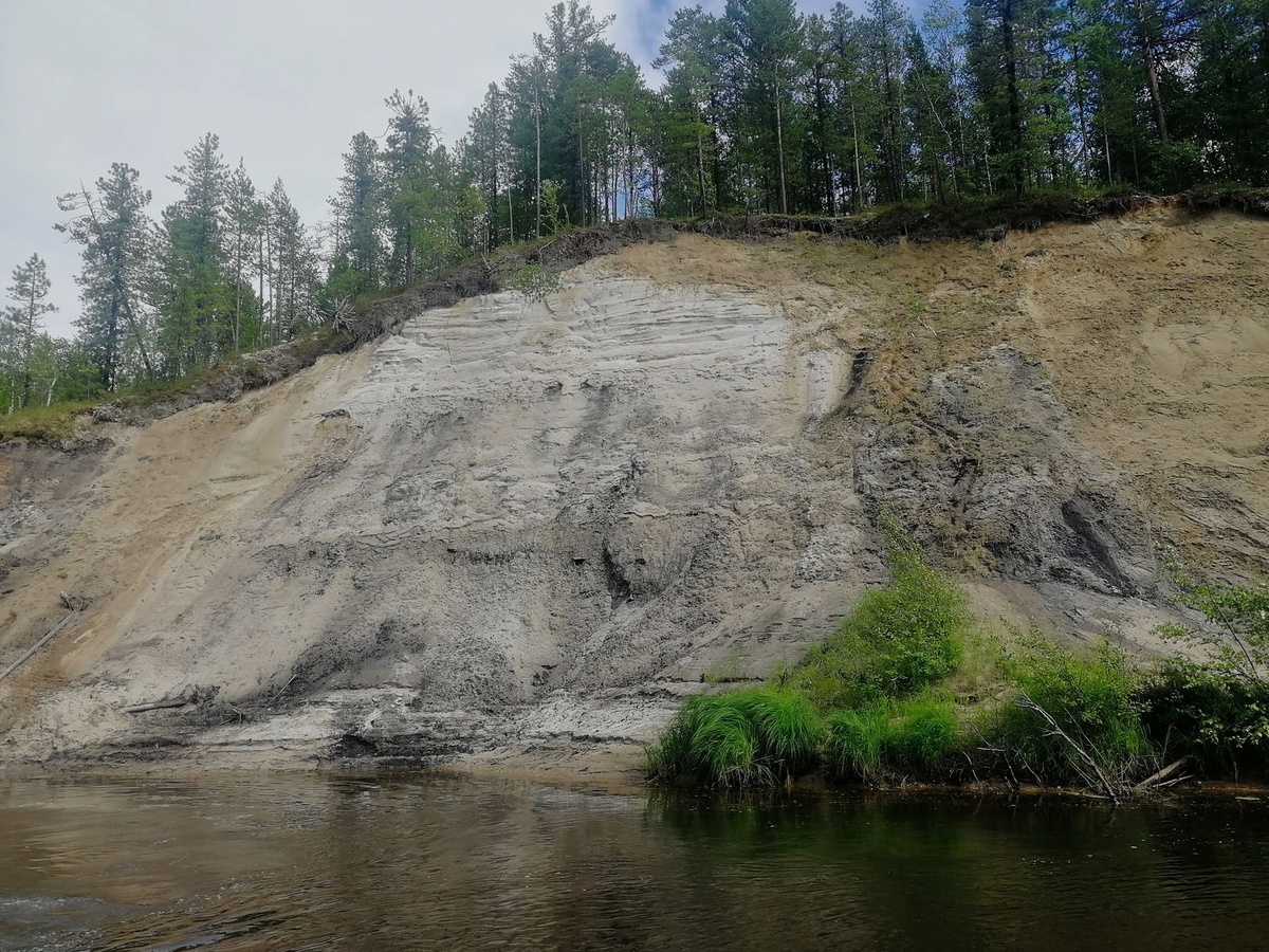 На таком берегу удобно работать – копать почти не нужно. Река Таз. Все фото Елены Коркиной