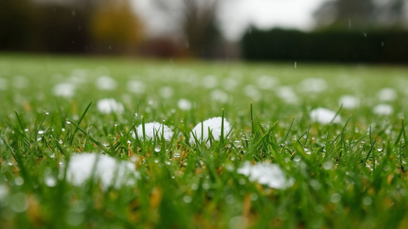    Изображение сгенерировано ИИ