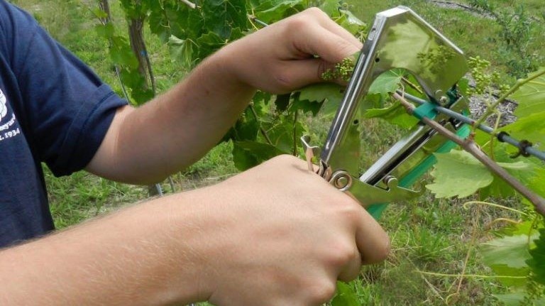 Степлер для подвязки растений