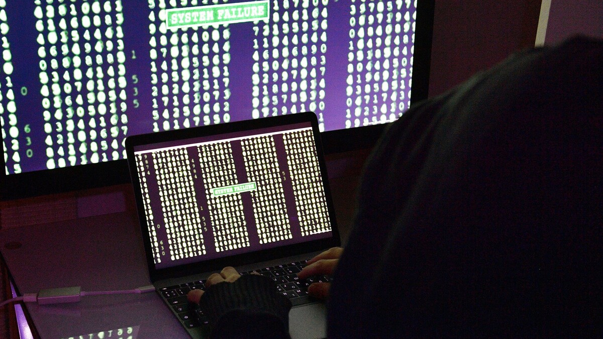 © Sputnik / Наталья Селиверстова