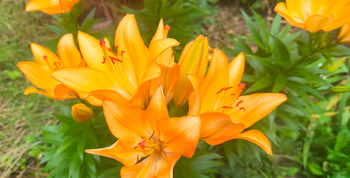  Счастье приходит к тому, кто умеет ждать. — Да, конечно, только смотри не просиди всю жизнь в зале ожидания...  Теодор Драйзер. Американская трагедия 