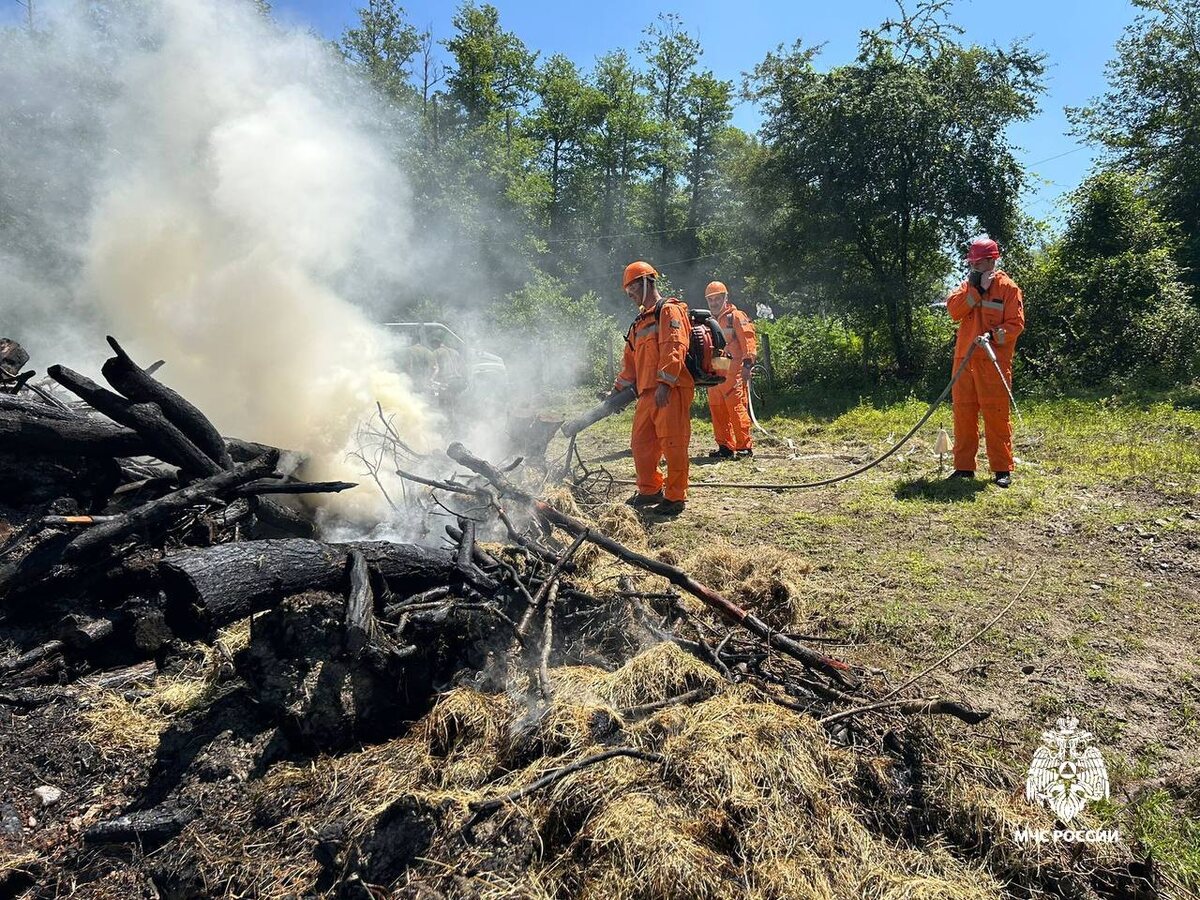    Фото: МЧС по Краснодарскому краю