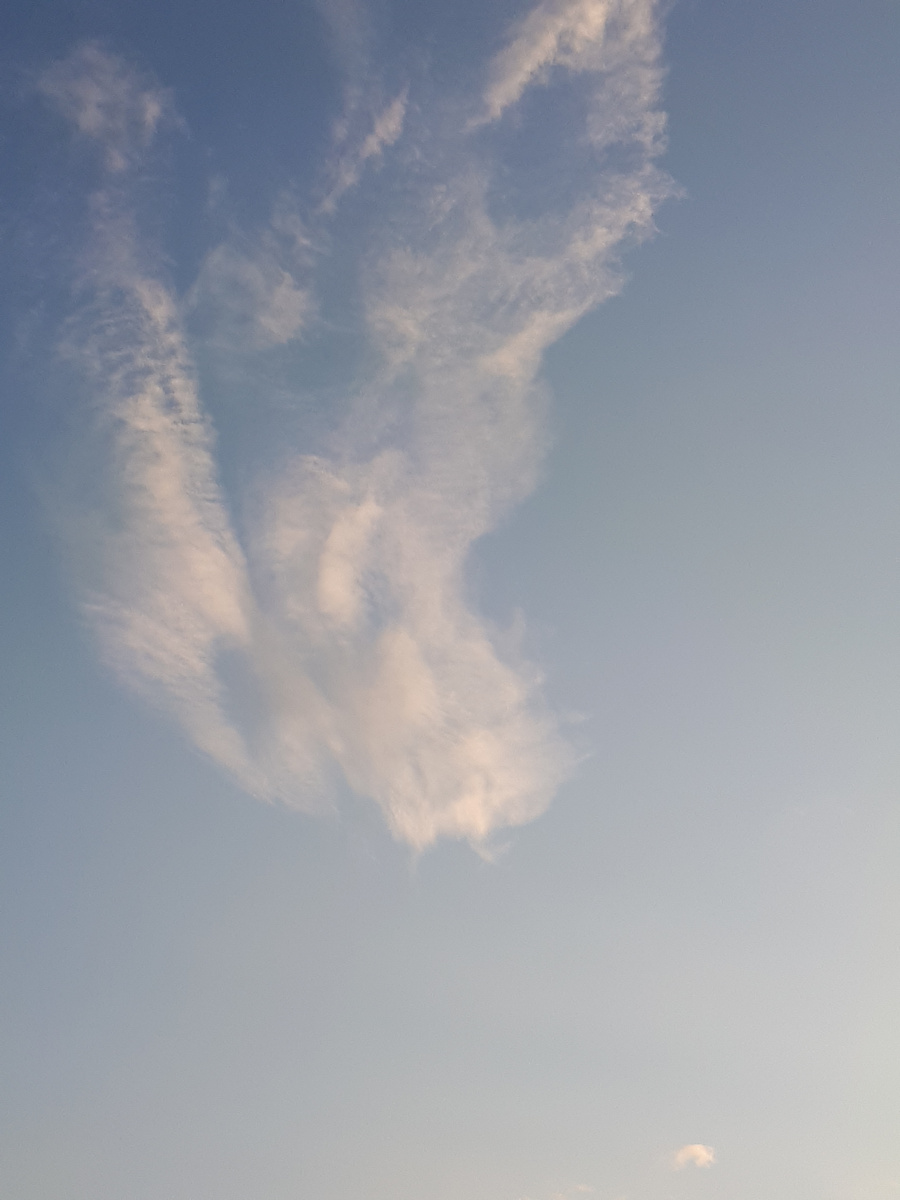 Фото автора статьи