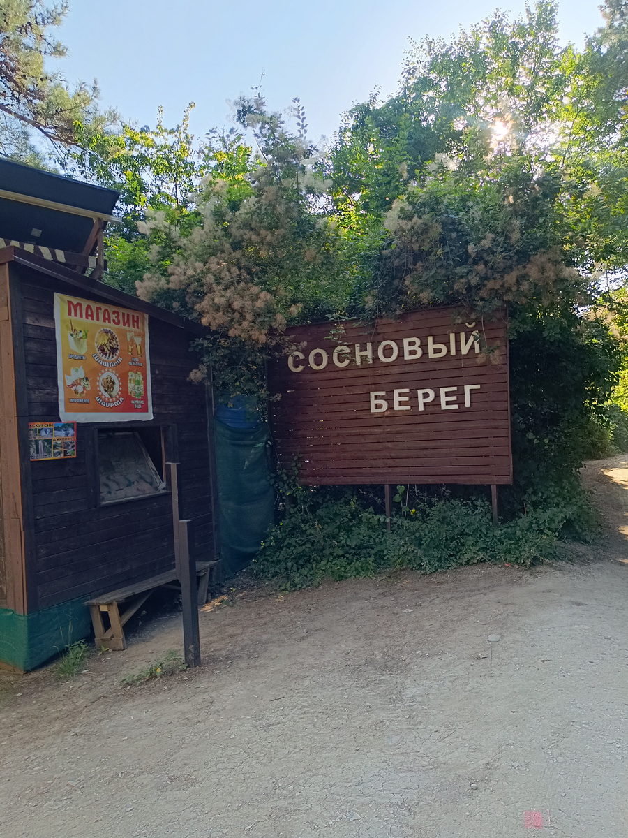 Все фото автора 