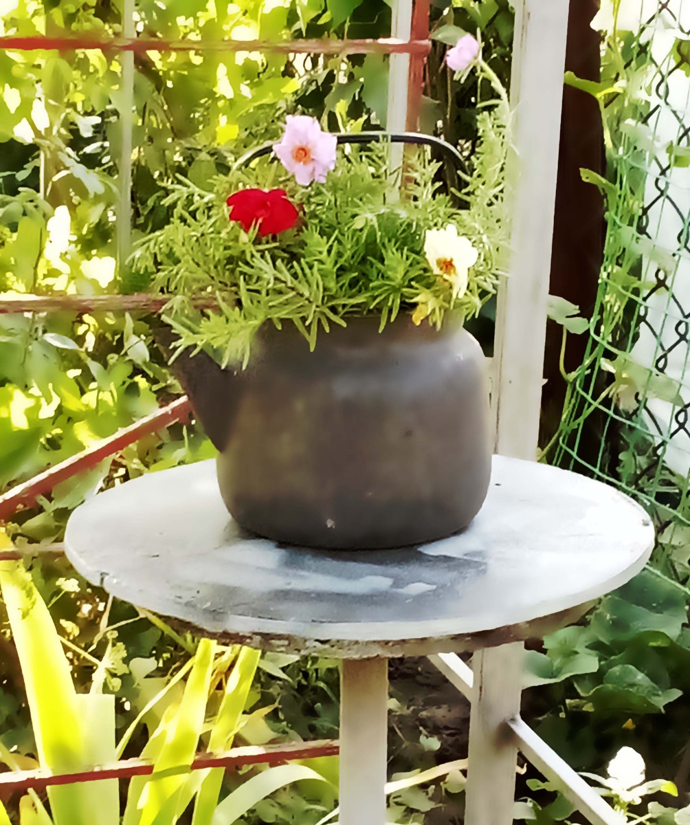 Из старой посуды: можно поставить поилки для птиц, ванночки для лягушат.  Посадить цветы в старый ненужный  чайник.