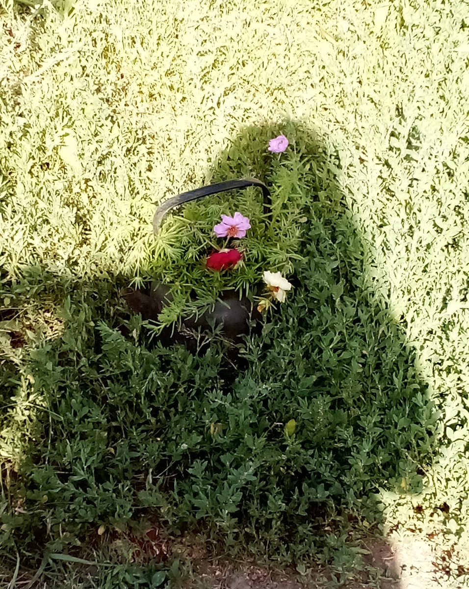 "Заполнить пустоту цветами "