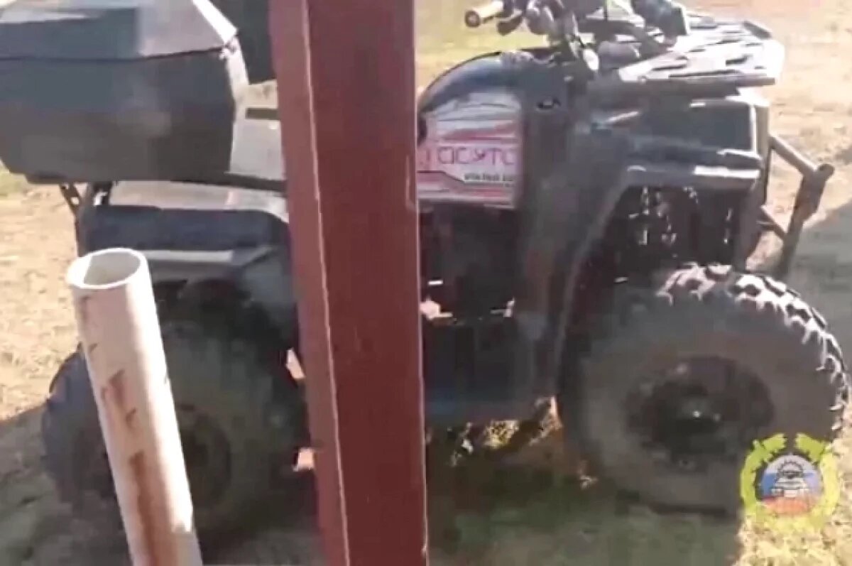    ДТП с погибшим водителем квадроцикла прокомментировали в МВД – видео